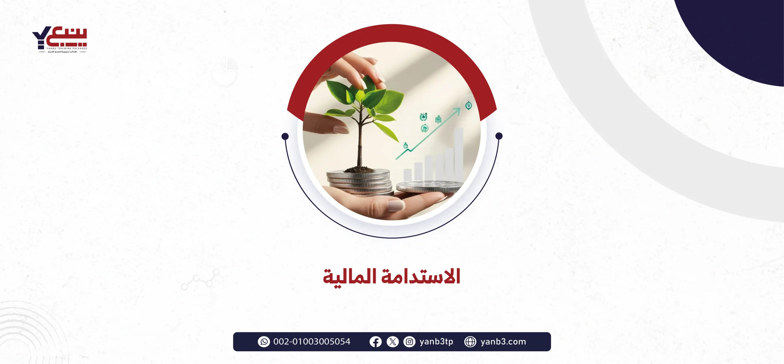 الاستدامة المالية